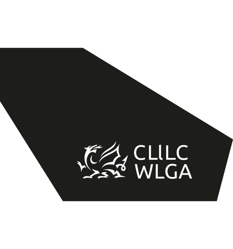 WLGA Procurement Case Study:  Ardal